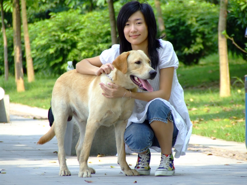 风中的绿叶的第一张照片--百色相亲服务中心