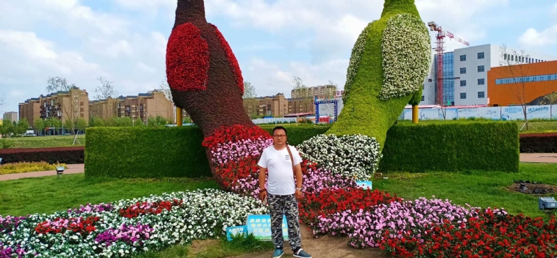 尘埃的第一张照片--百色相亲服务中心