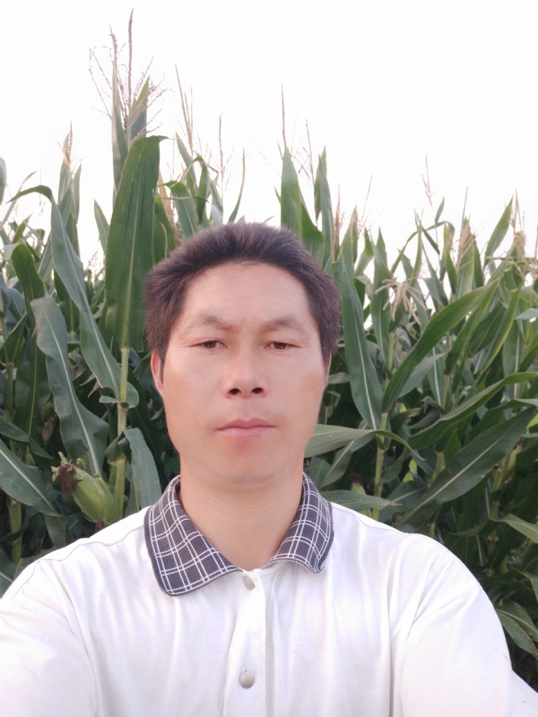 四海游龙的第二张照片--百色相亲服务中心