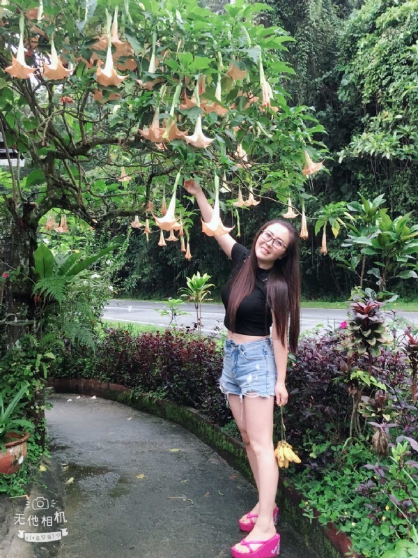 离异单身无子的第二张照片--百色相亲服务中心