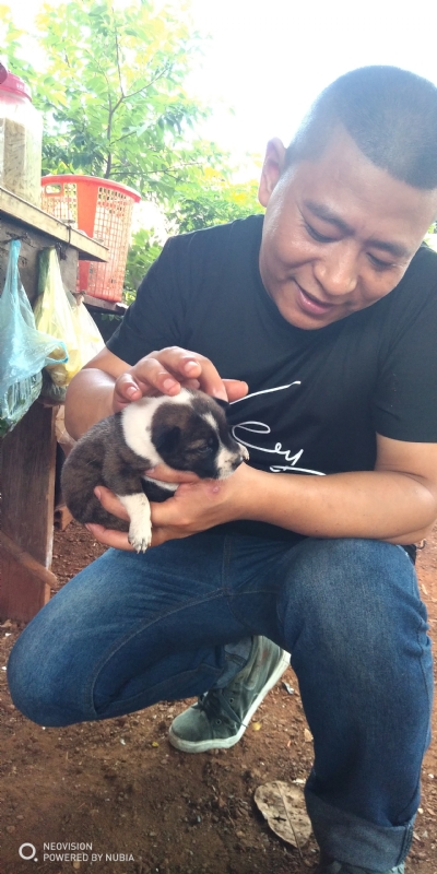 深圳相亲的第一张照片--百色相亲服务中心