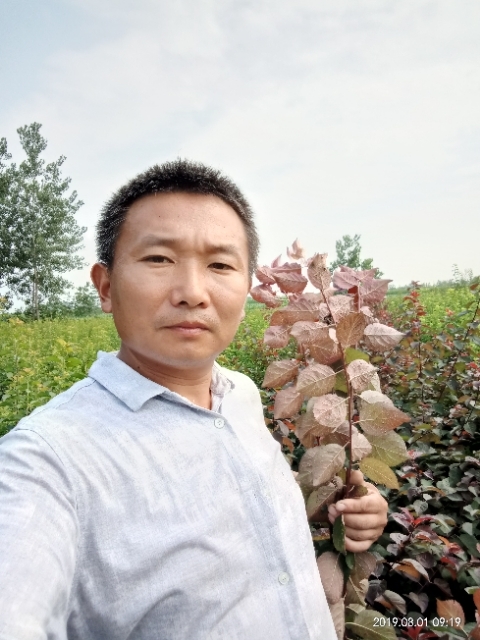 孩子爸的第一张照片--百色相亲服务中心