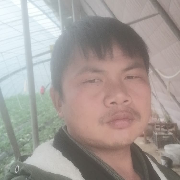 孤狼‘的第一张照片--百色相亲服务中心