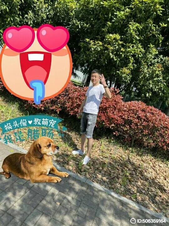 我若不坚强谁替我勇敢的第一张照片--百色相亲服务中心