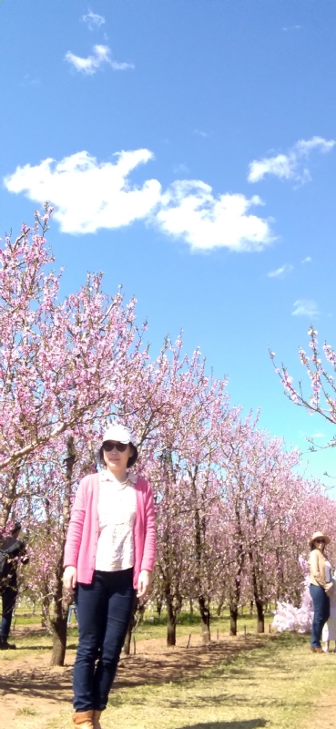 Grace的第二张照片--百色相亲服务中心