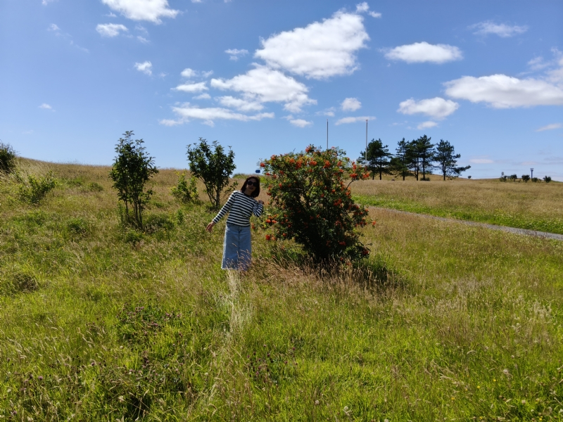 秋蝉的第一张照片--百色相亲服务中心