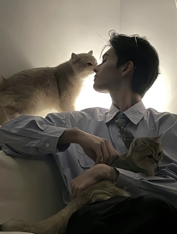 怪猫的第一张照片--百色相亲服务中心