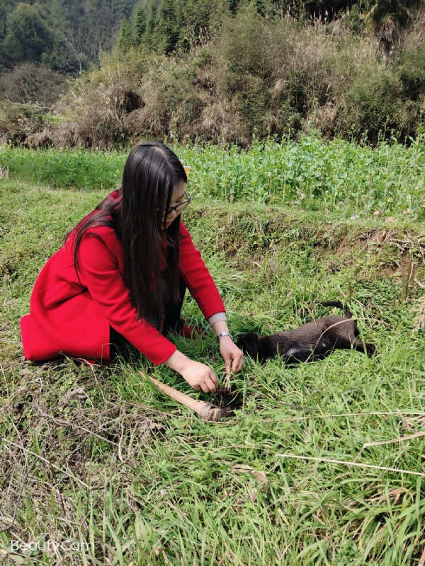 下一个春和秋的第一张照片--百色相亲服务中心