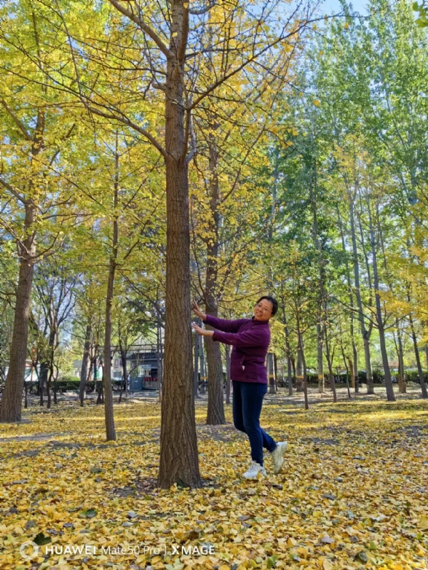 Shirley的第一张照片--百色相亲服务中心