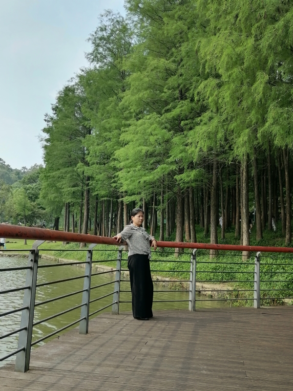 遗失的记忆的第二张照片--百色相亲服务中心