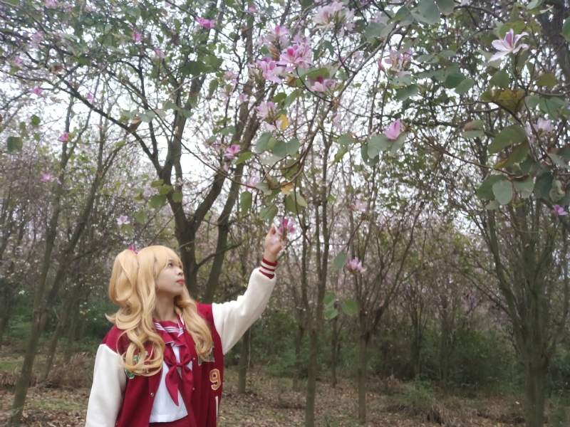 暮秋的第二张照片--百色相亲服务中心