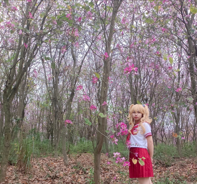 暮秋的第三张照片--百色相亲服务中心