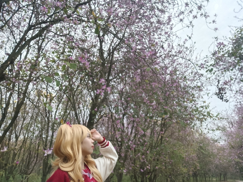 暮秋的第五张照片--百色相亲服务中心