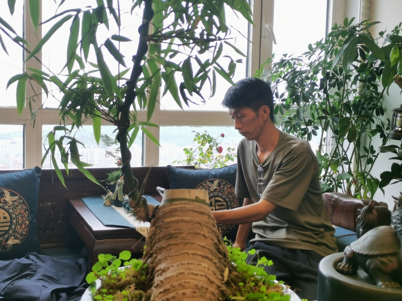 成个家的第一张照片--百色相亲服务中心