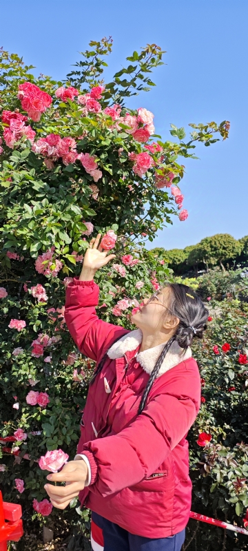 狗狗的第一张照片--百色相亲服务中心