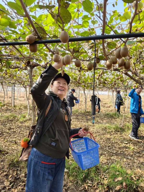夜莺的第四张照片--百色相亲服务中心